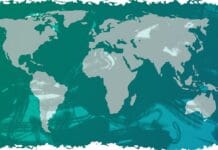 Czy hotele w Tunezji mają animacje dla dzieci?