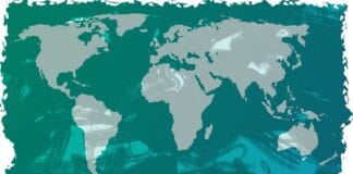 Turystyka w Tunezji – ile zarabia na niej kraj?