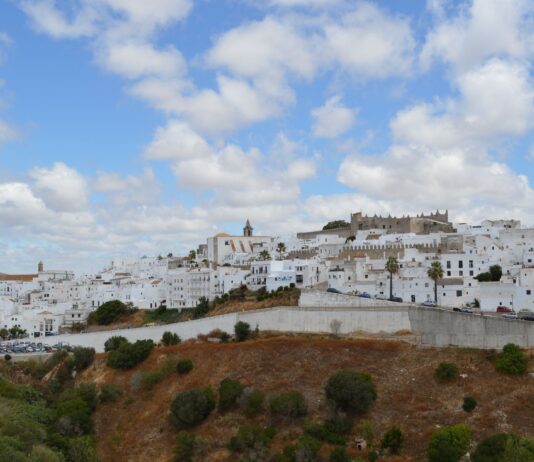 Białe zabudowania Sidi Bou Said pod niebem z chmurami